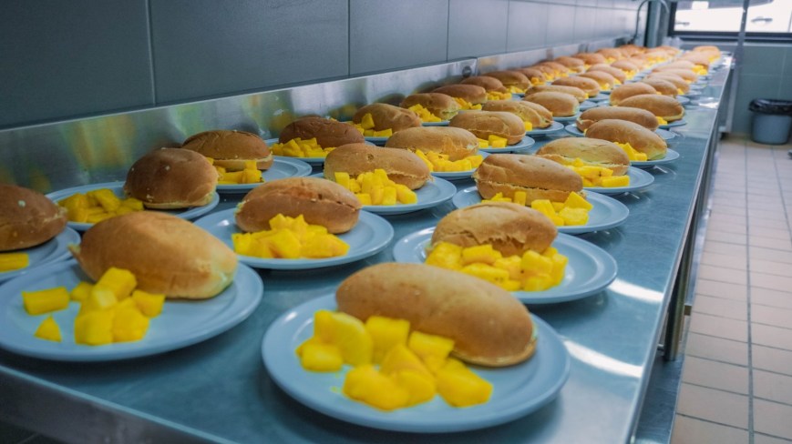 Regreso a clases 2025: El PAE asegura alimentación y aprendizaje para estudiantes del Tolima