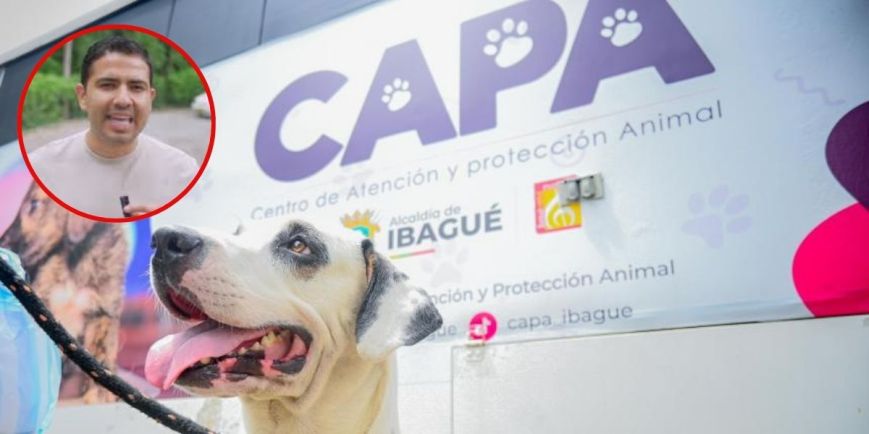 Escándalo en el CAPA de Ibagué: concejal denuncia desaparición de animales
