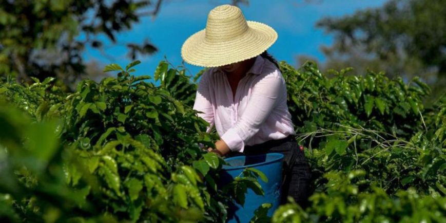 Alcaldía de Ibagué lleva ayudas técnicas y proyectos productivos a campesinos de las veredas