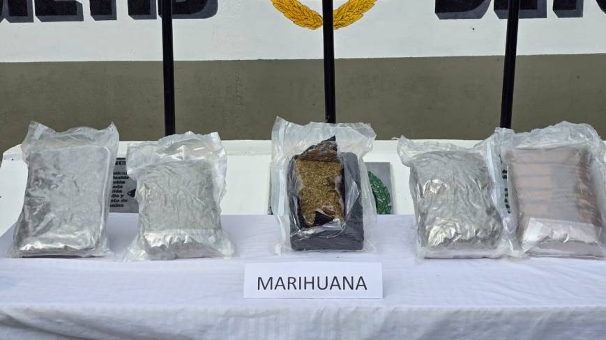 Encomienda desde Cali traía más de seis kilos de marihuana a Ibagué